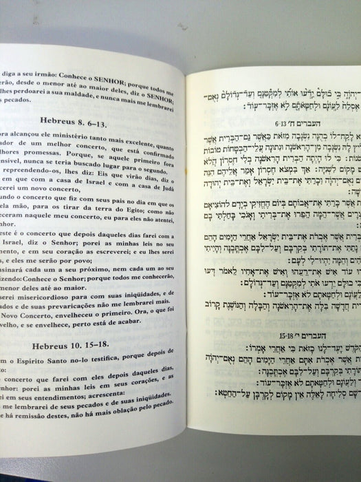 The Messiah of Israel - Hebrew to Portuguese translation