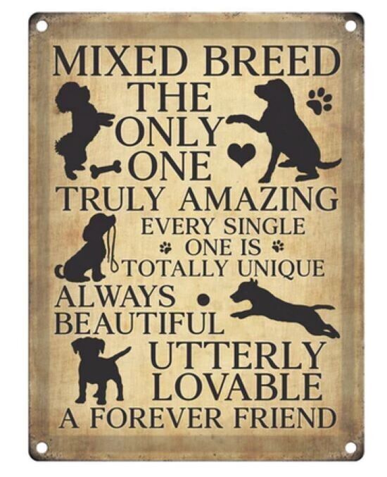 mixed breen metal wall sign 20 x 15cm