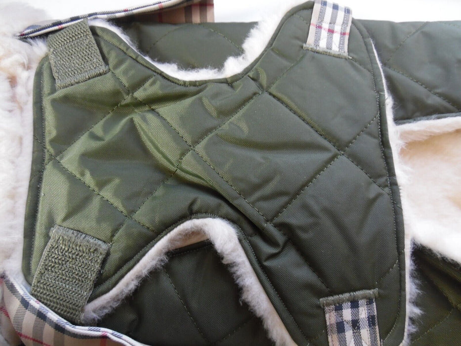 Dog Vest for small breen chihuahua etc