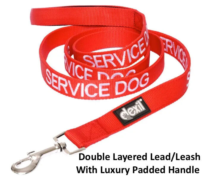 SERVICE DOG Lead Leash 2 Foot Padded Handle Double Layered n Red