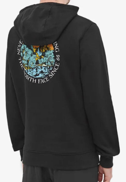 THE NORTH FACE SEASONAL GRAPHIC HOODY - Small