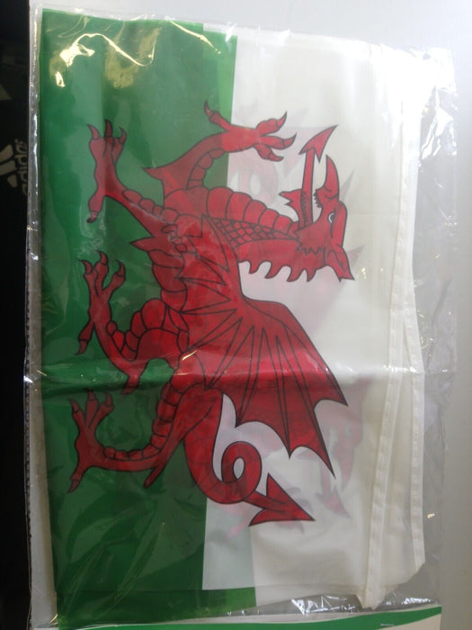 20 Foot Wales Plastic Bunting With 8 Flags 12x8