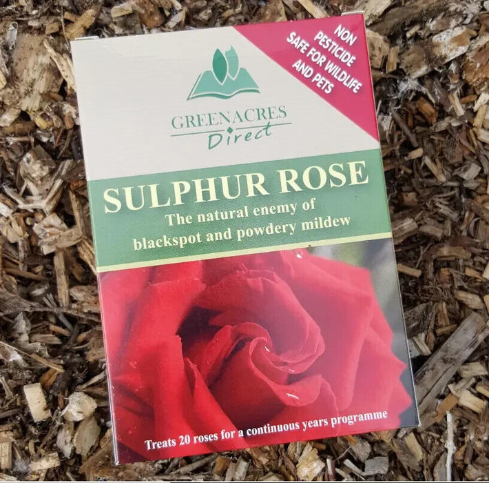 Sulphur Rose Spray On 1L